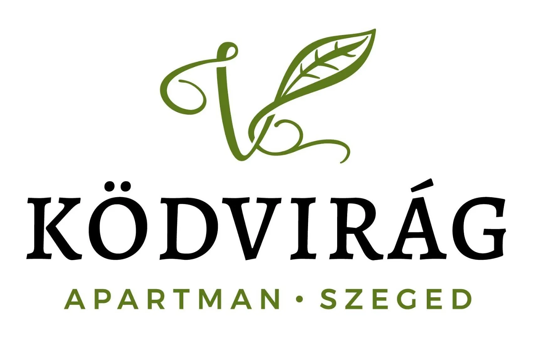 Koedvirag Apartman سيغيد